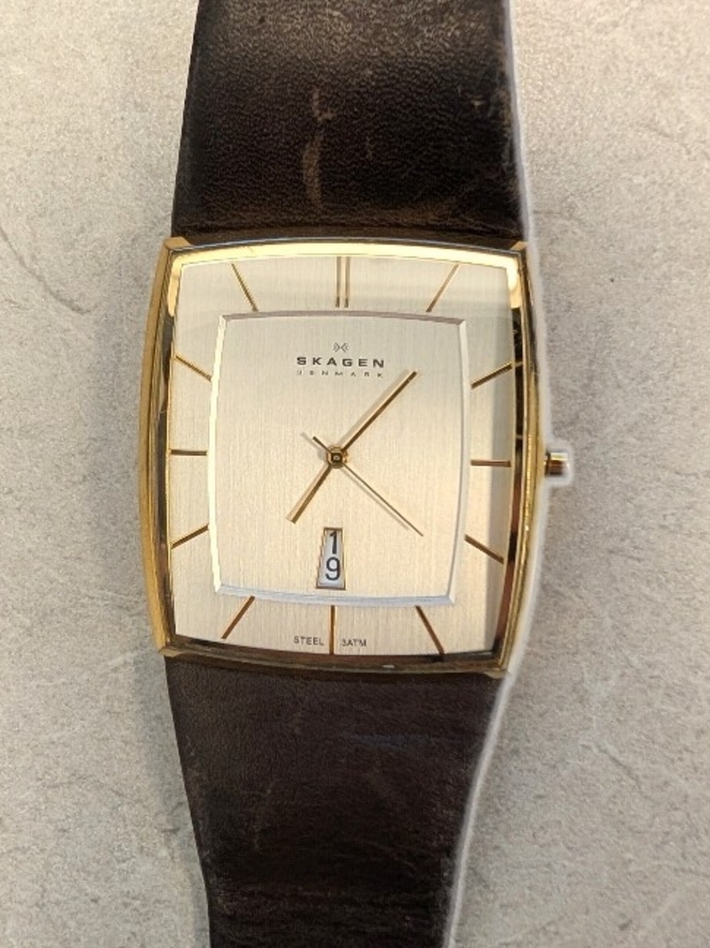 Working Tank Skagen Men’s Gold-Tone Watch with Brown Leather Strap